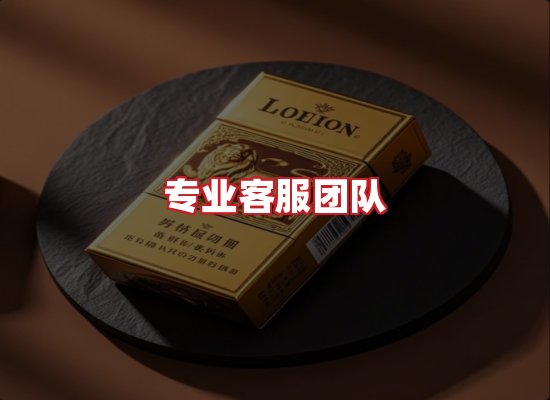 专业团队